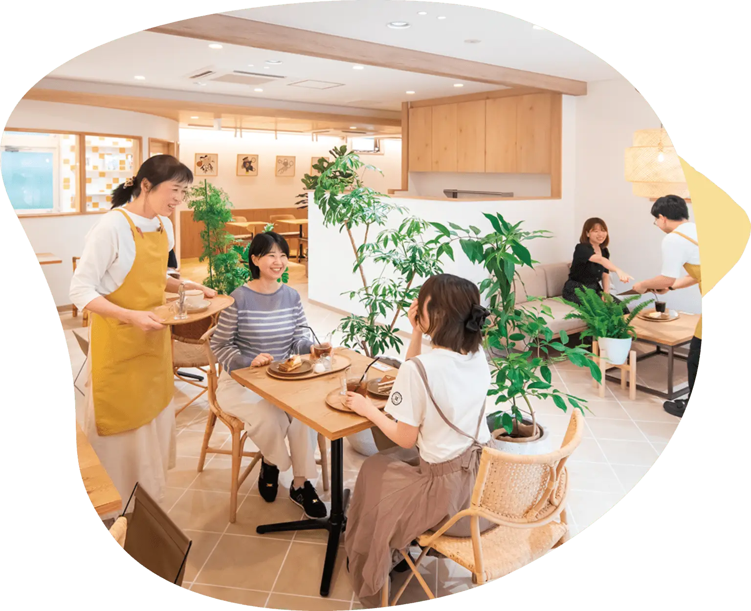 公式案内画像