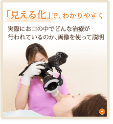公式案内画像