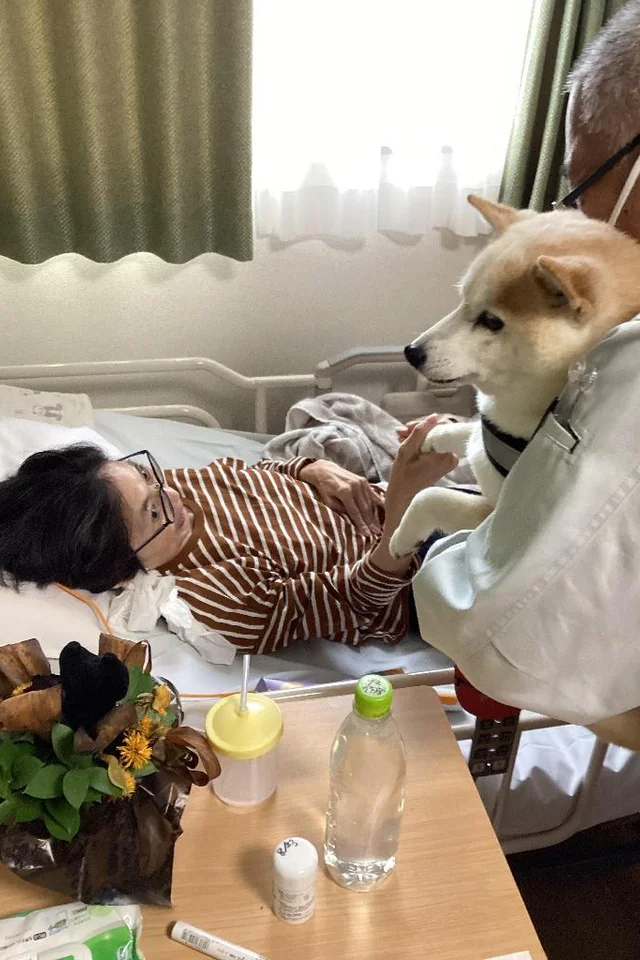公式案内画像