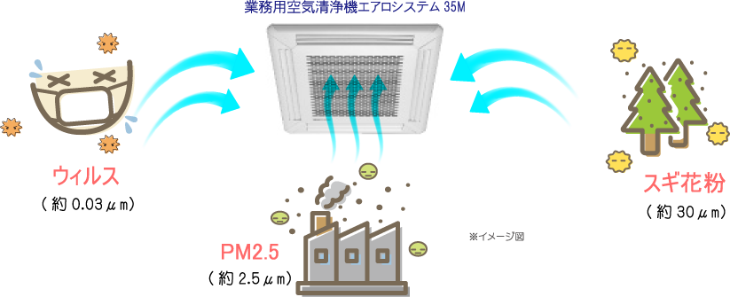 公式案内画像