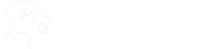 大門醸造