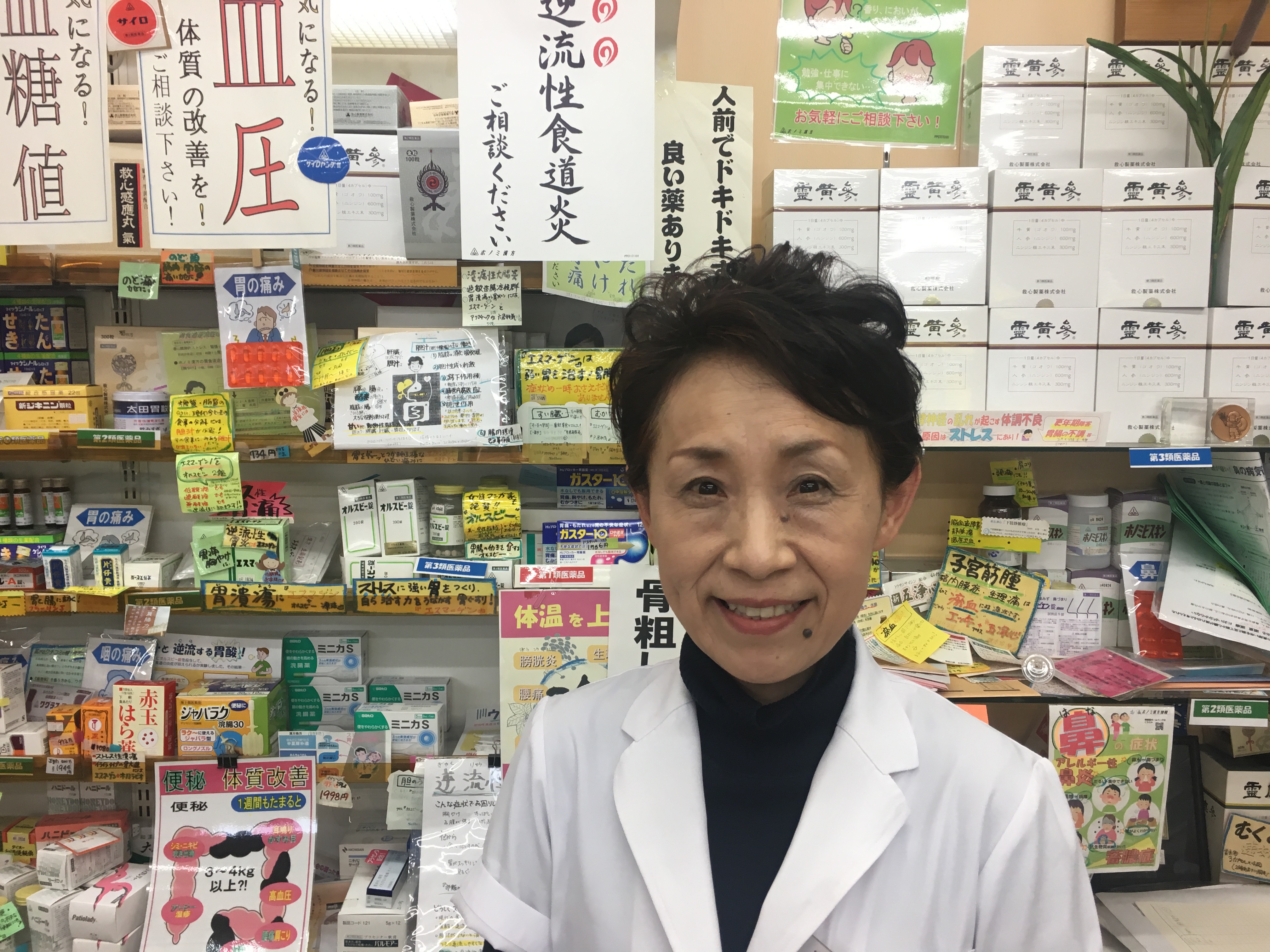 公式案内画像