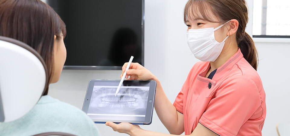 公式案内画像