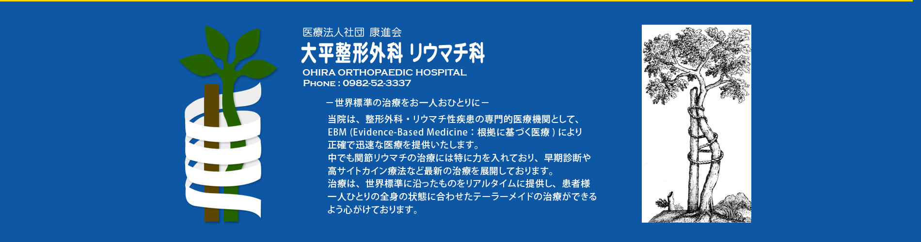 大平整形外科内科医院 の写真
