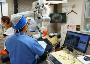 公式案内画像