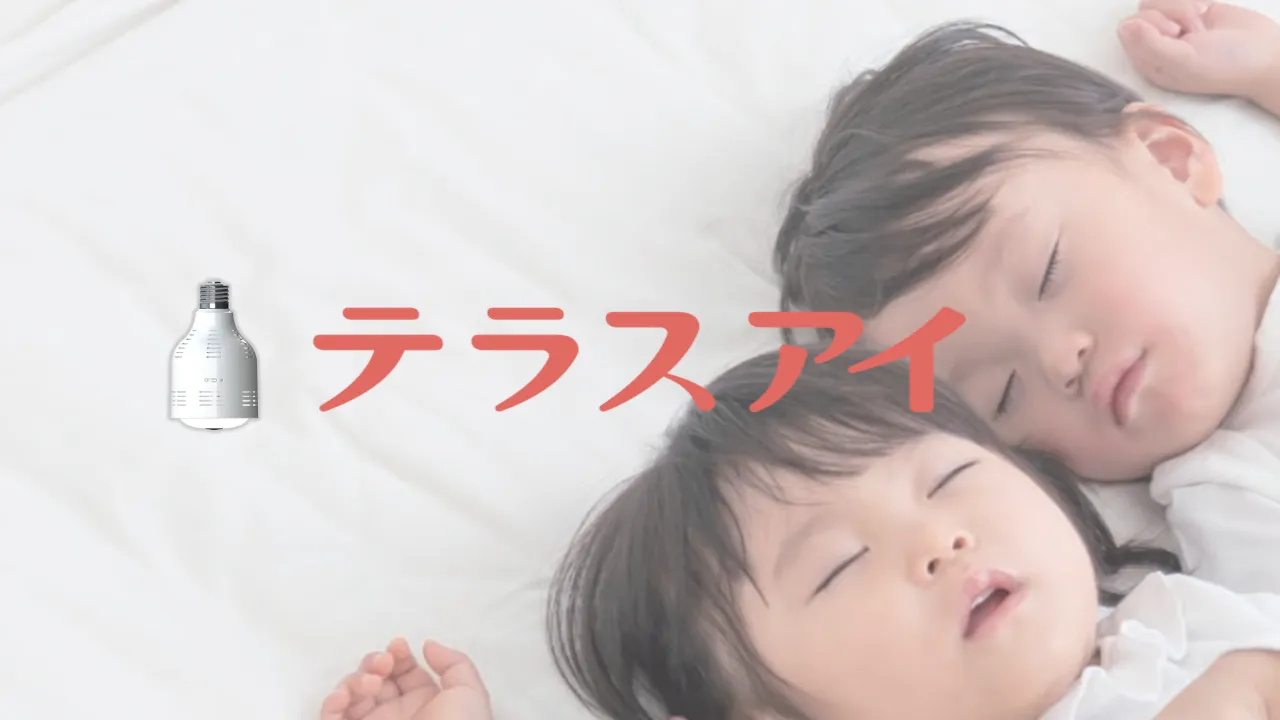 公式案内画像