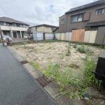 ドリーム・ナウ株式会社 の写真