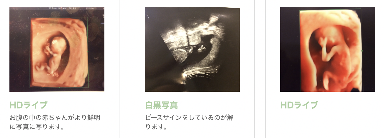 公式案内画像