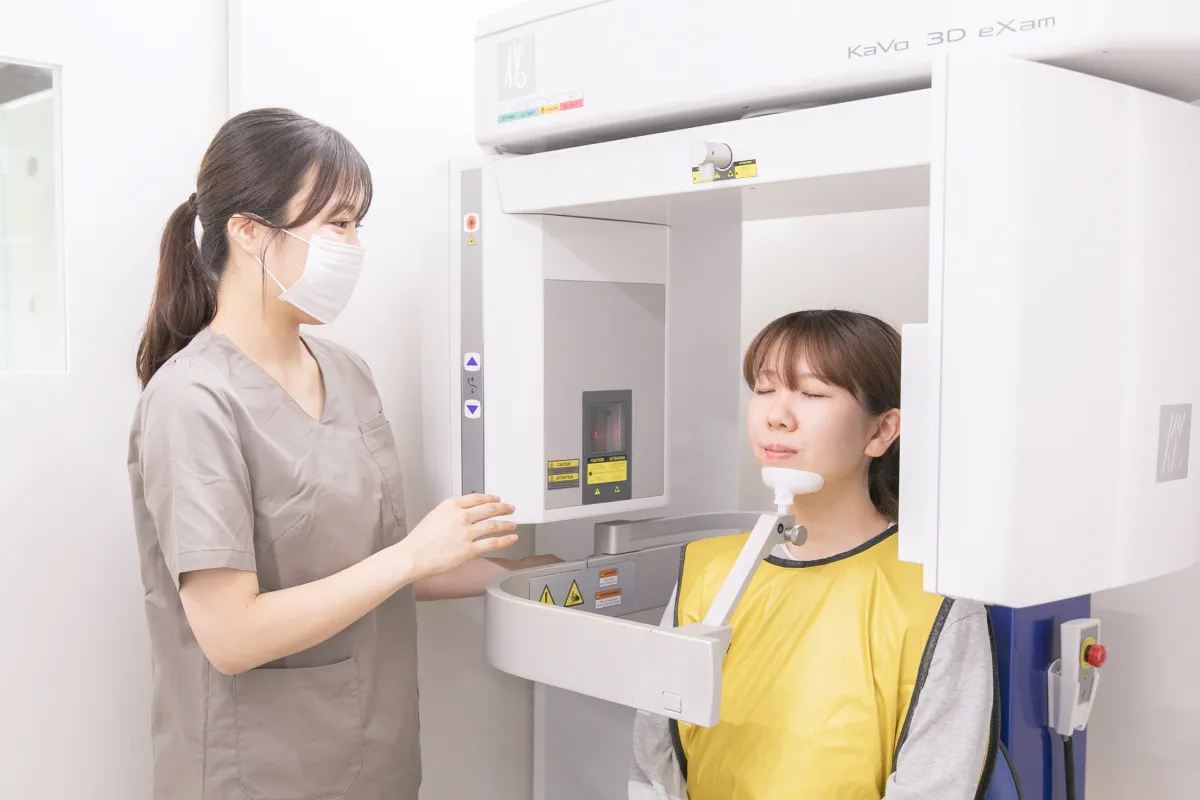公式案内画像