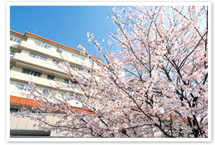 桜ヶ丘病院の建物外観