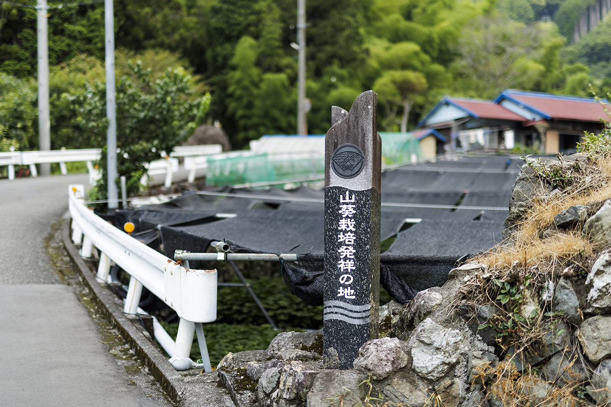 公式が有東木の歴史を案内するページに掲載された発祥の地の碑とわさび田