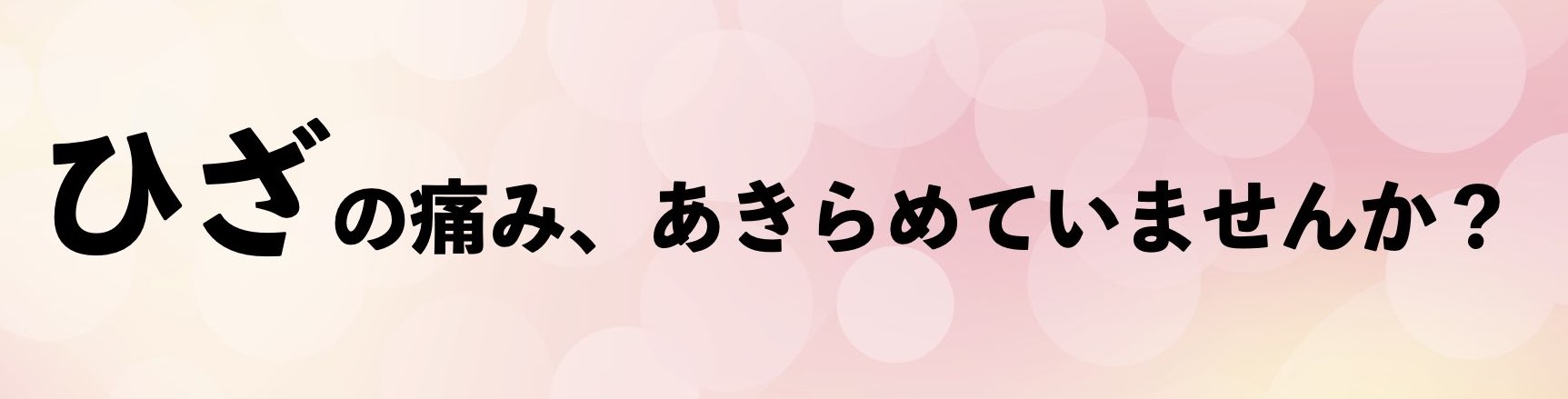 公式案内画像