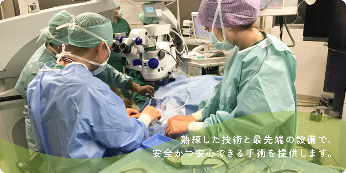 公式案内画像