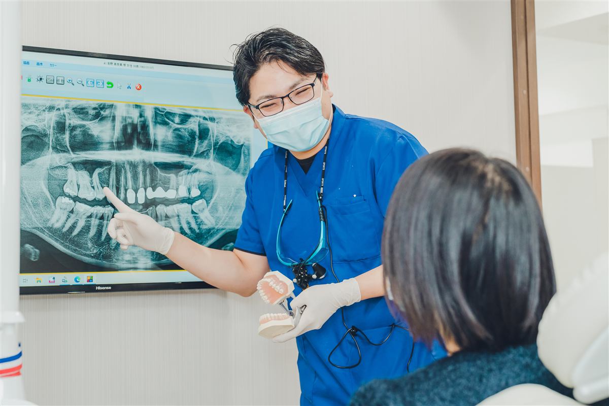公式案内画像