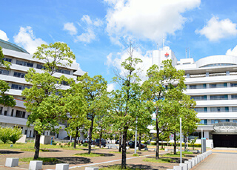 公式案内画像