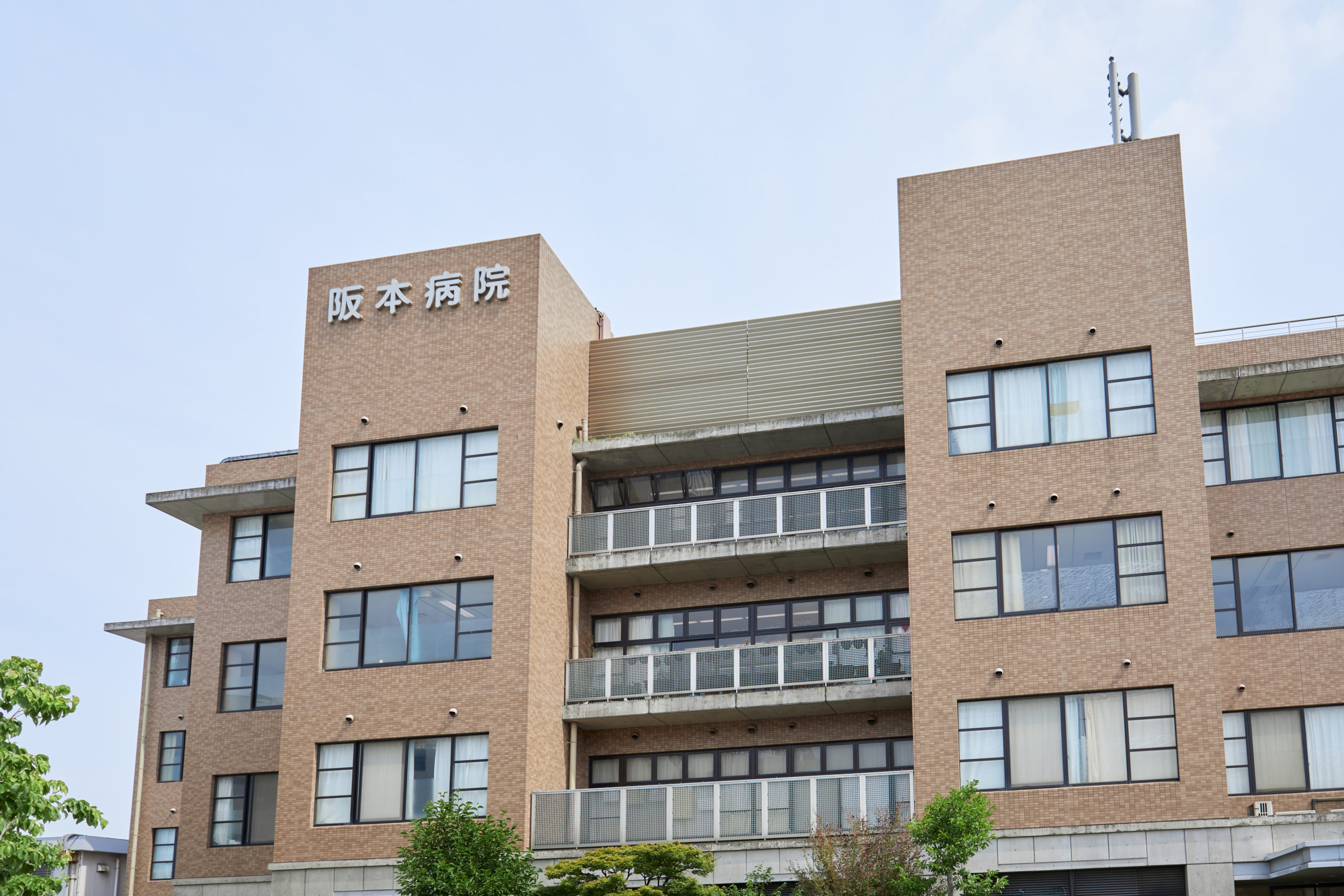 公式案内画像