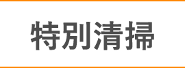 特別清掃