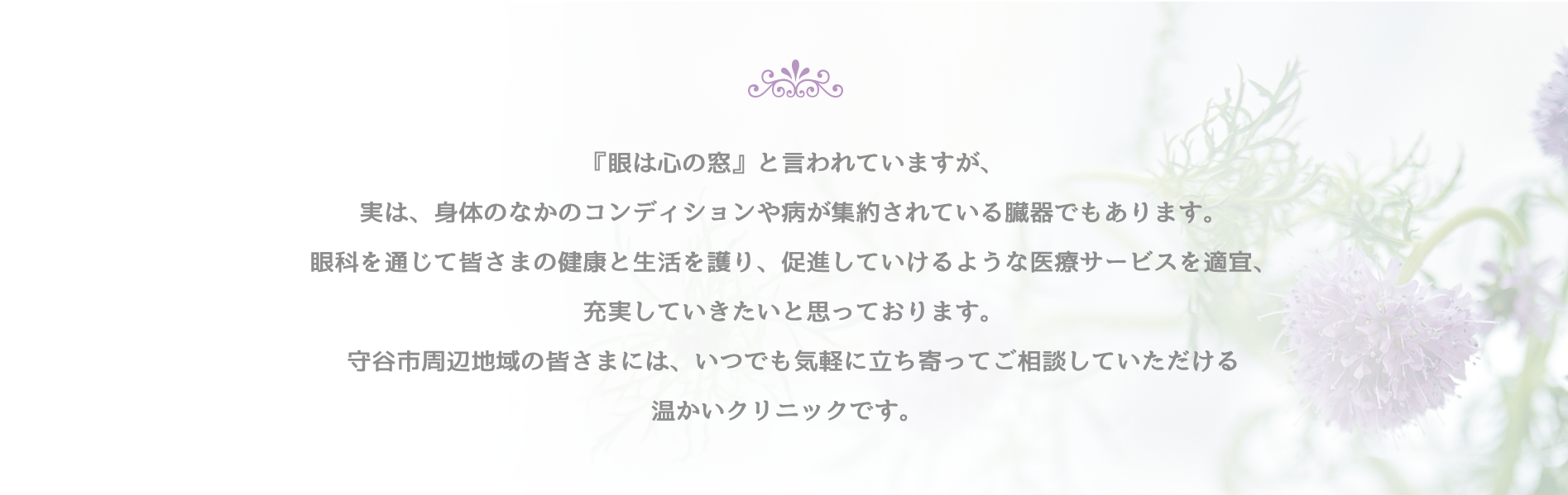 公式案内画像