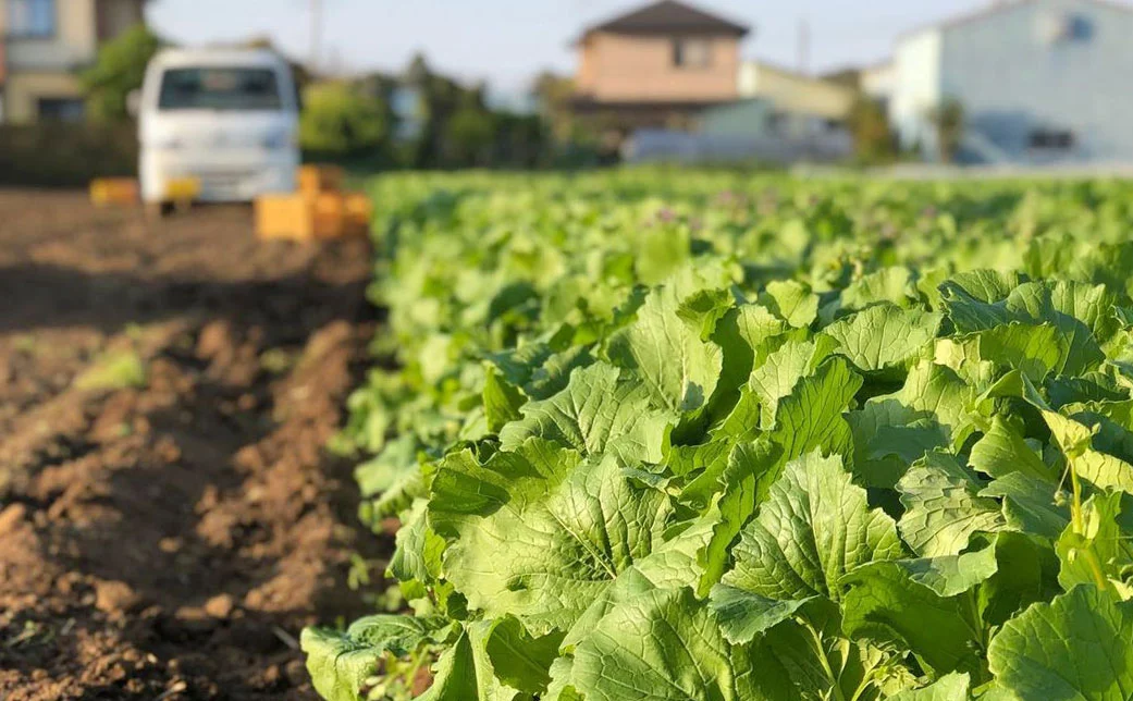株式会社FARM OKANO の写真