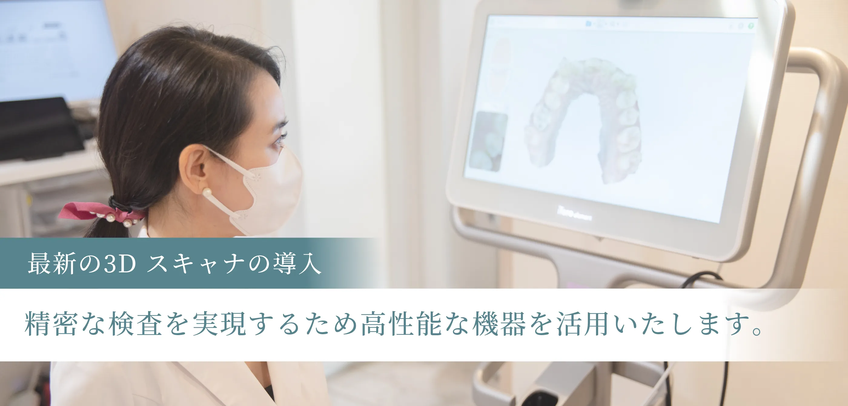 公式案内画像