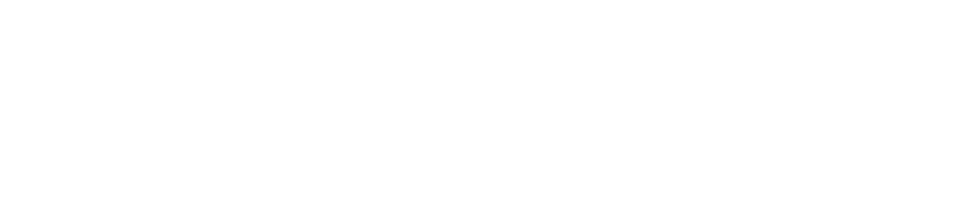 合同会社フライングスター