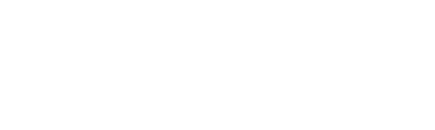 合同会社フライングスター の写真