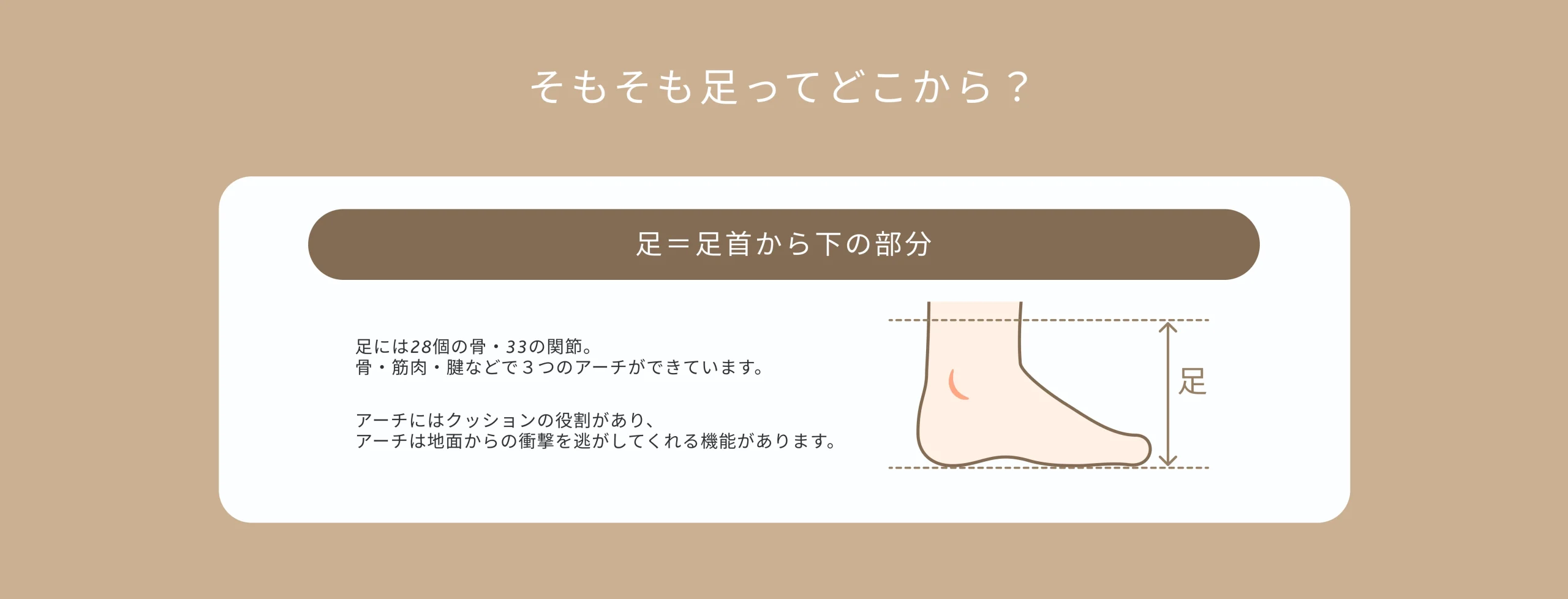 東京足の治療と予防の診療所 の写真