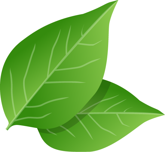 ねむの木薬局