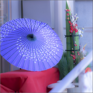 公式案内画像