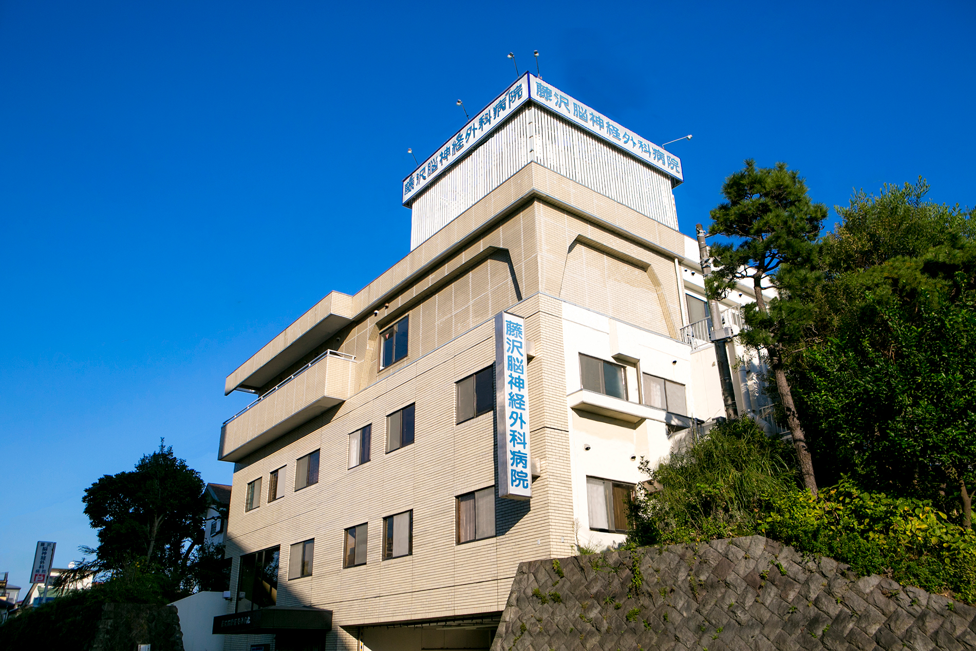 公式代表画像