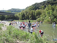 河川環境学習