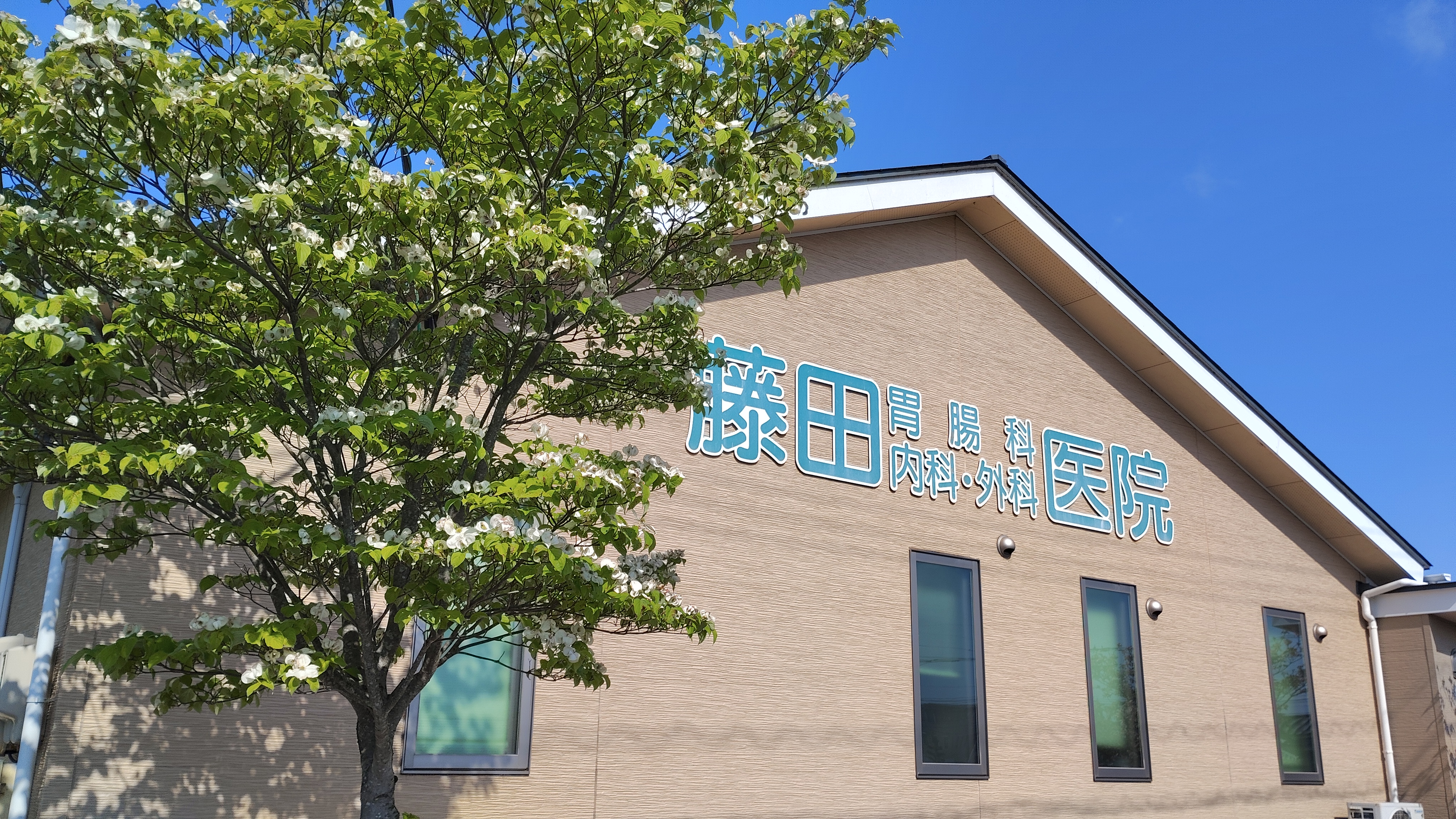 公式案内画像