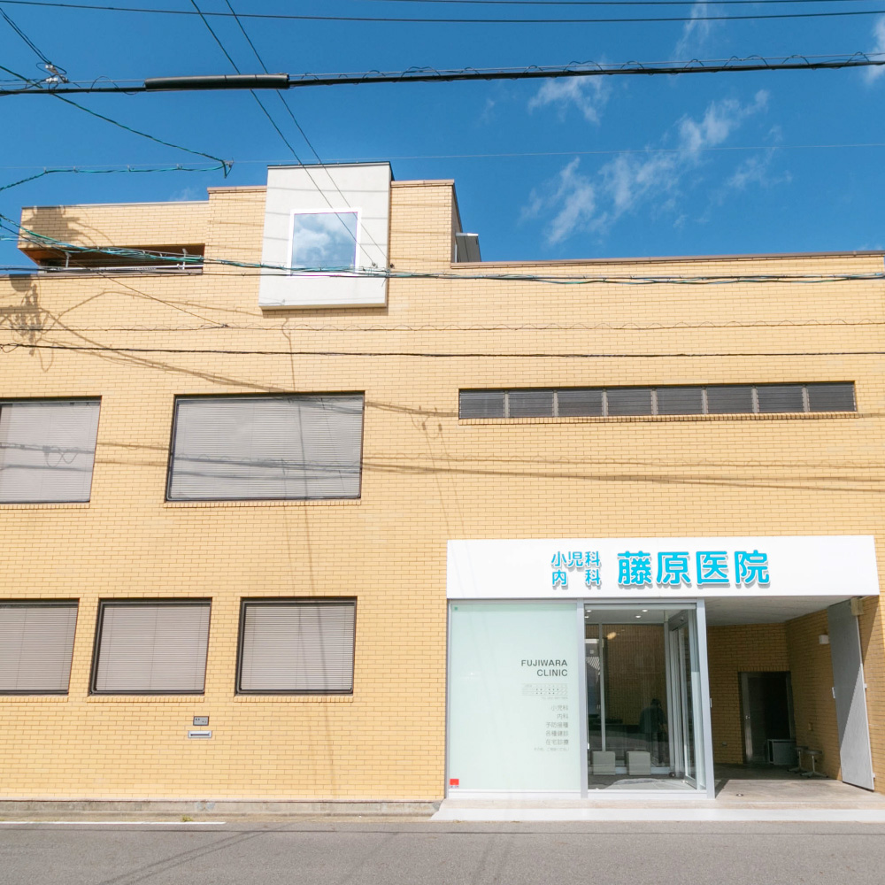 公式案内画像