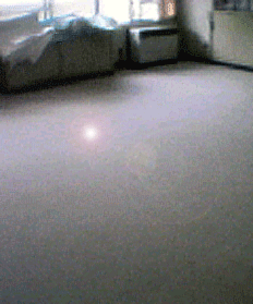 ビルクリーニング（ビル定期清掃）された絨毯（じゅうたん）