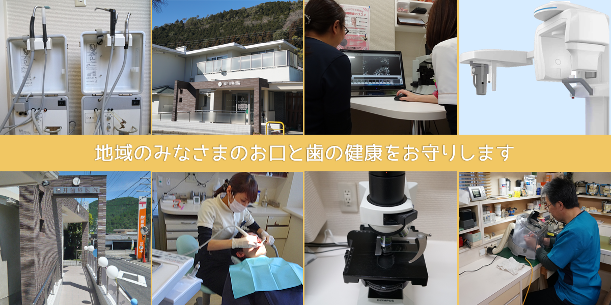 公式案内画像