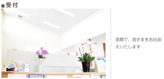 公式案内画像