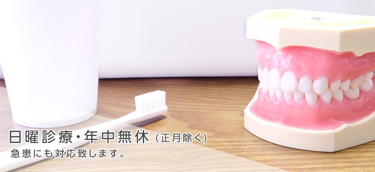 公式案内画像
