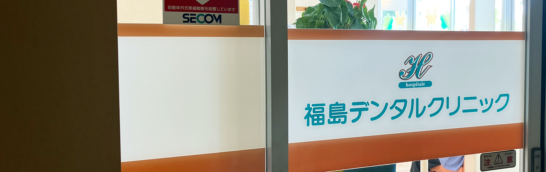 公式案内画像