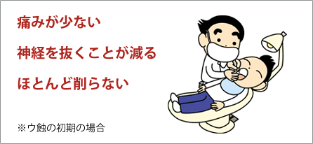 公式案内画像