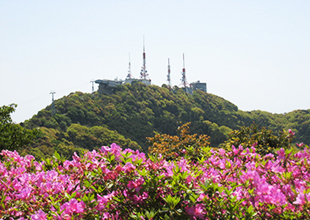 公式案内画像
