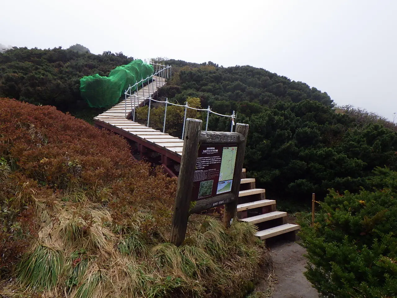 大山登山道の木道改修現場