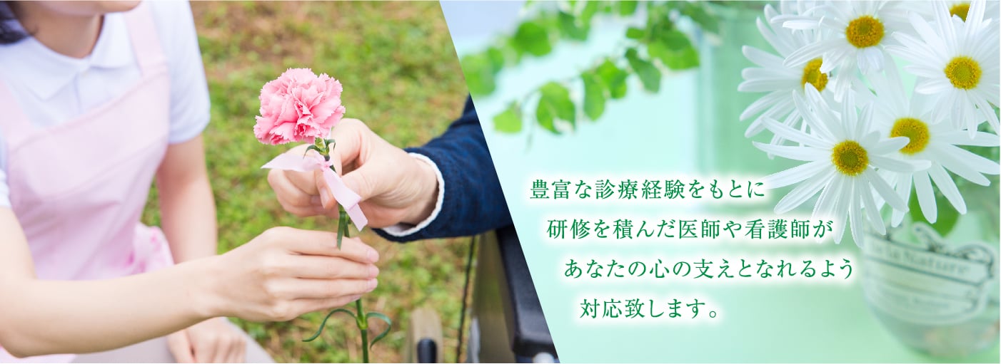 公式案内画像