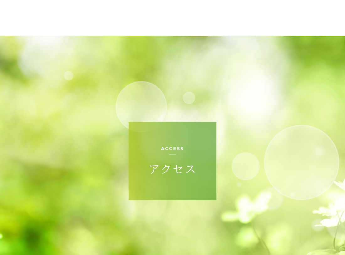 公式案内画像