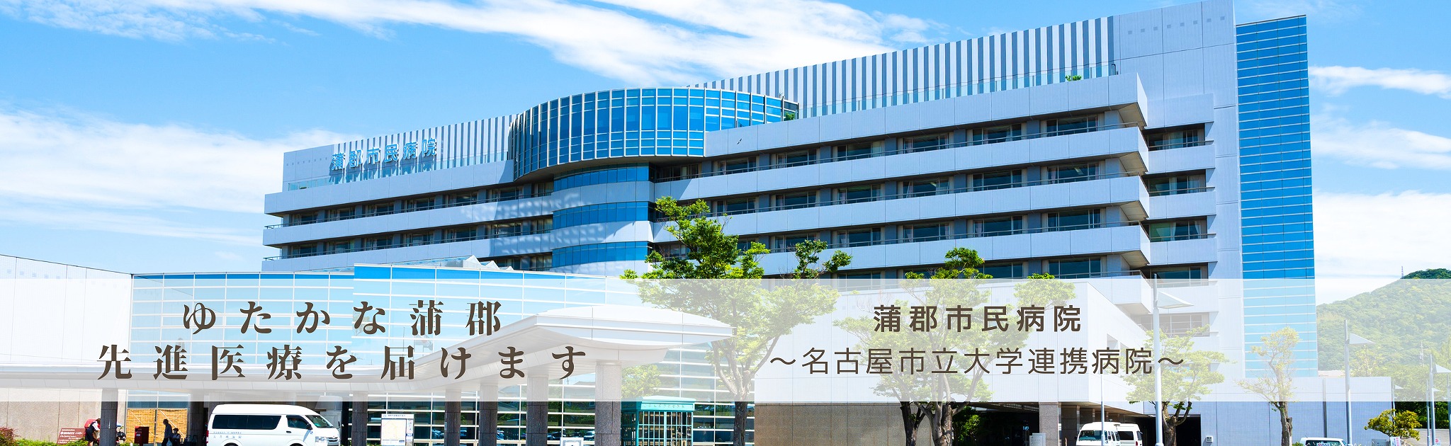公式代表画像
