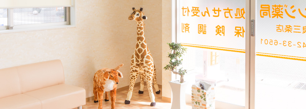 公式案内画像