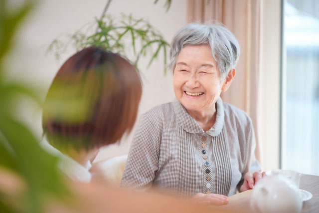 公式案内画像