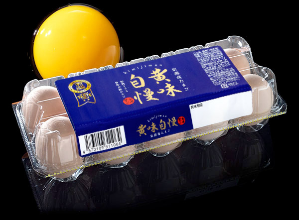 公式案内画像
