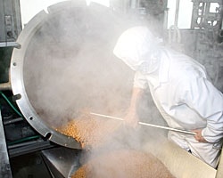 湯気の立つ釜で大豆を蒸す職人