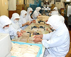 工房で経木包みを行う作業風景