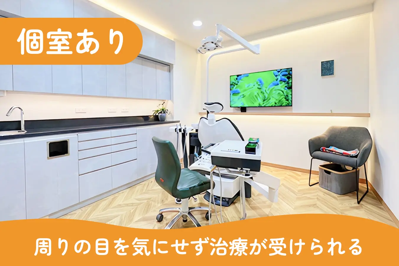 公式案内画像